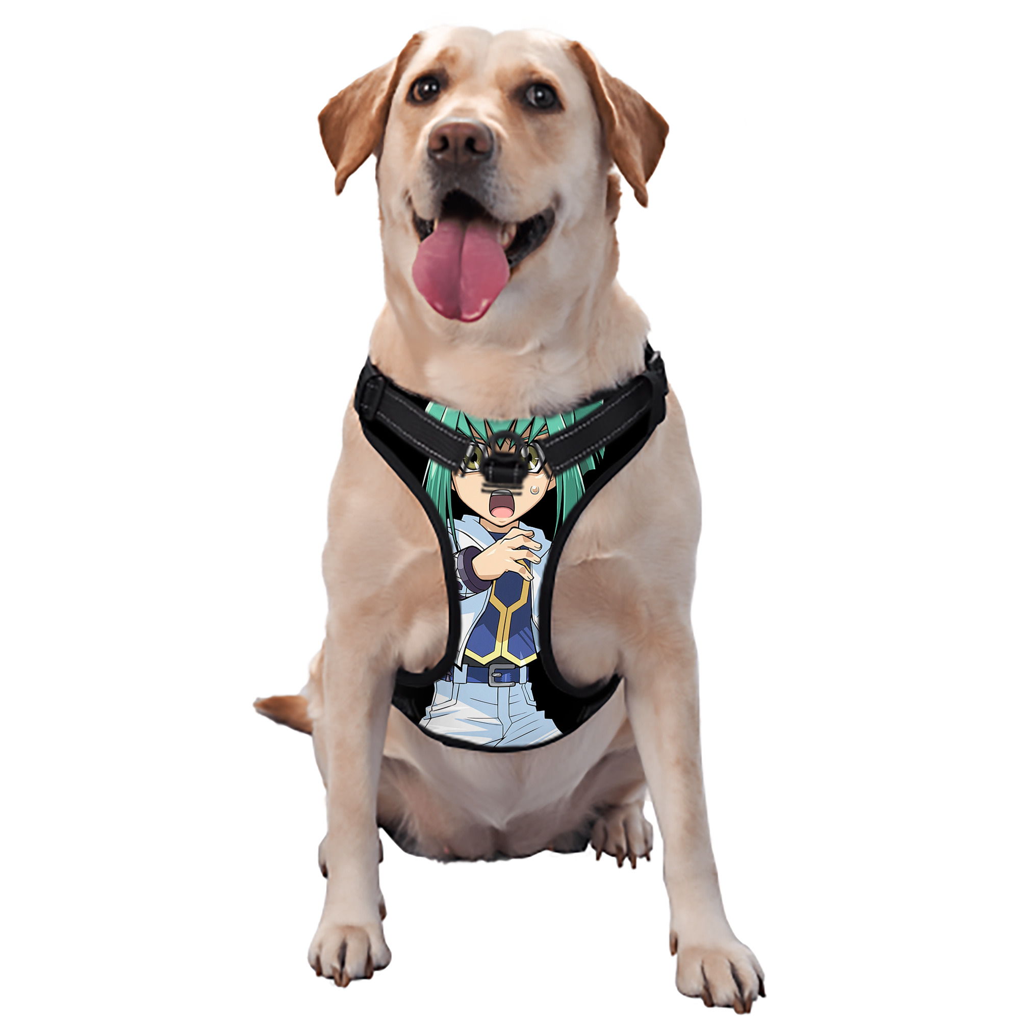 （画像用） 遊☆戯☆王 Yu-Gi-Oh! ペット用ハーネス